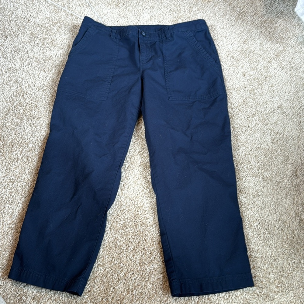 Patagonia blue cropped pants